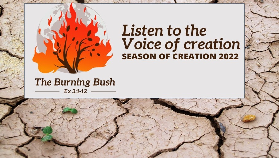 Season of Creation Week 1 (13th Sunday after Pentecost)